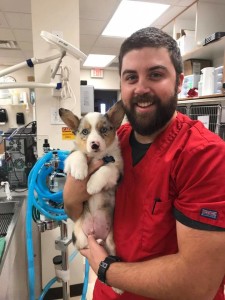 Chris C. Registered Veterinary Technician