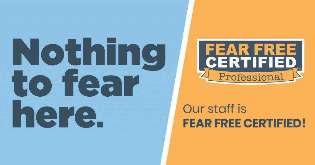 Fear Free Veterinarian