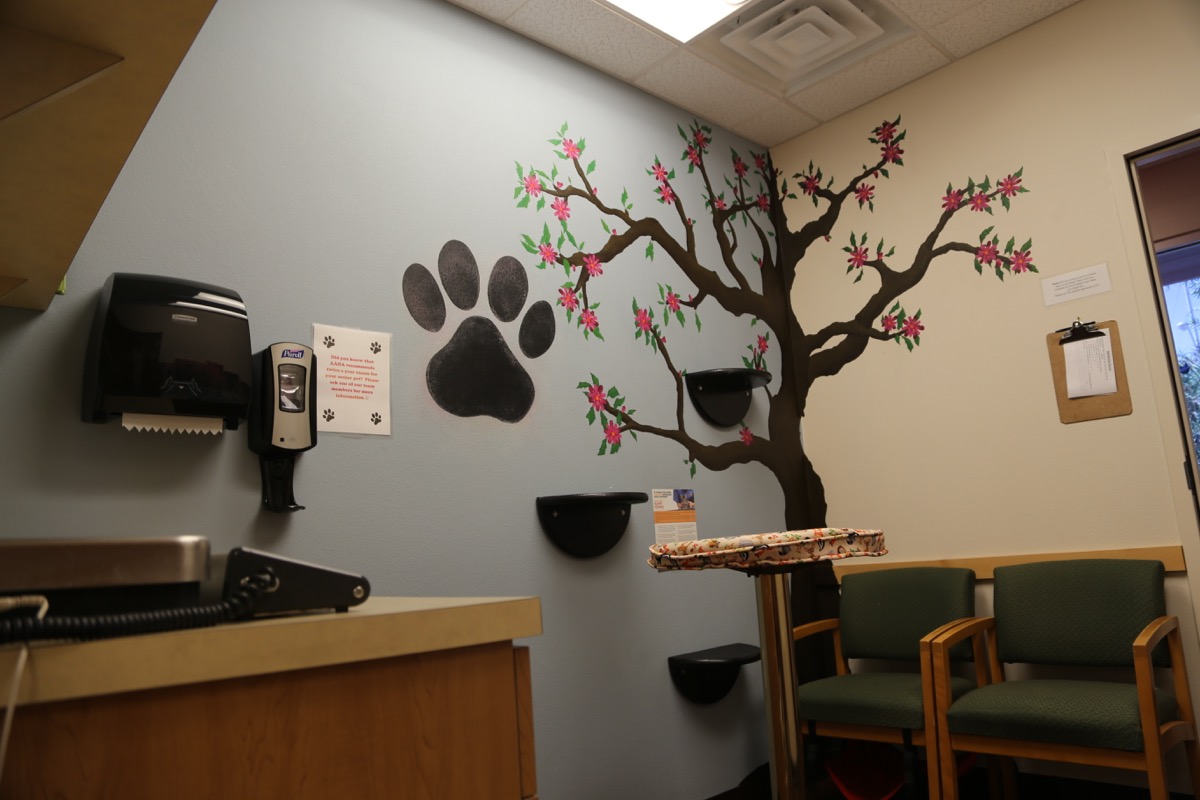 TLC-Library-1200x800-IMG_0332