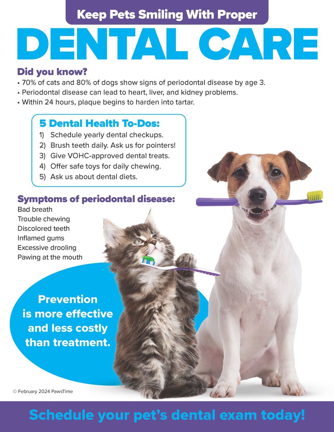 Dental health care for pets