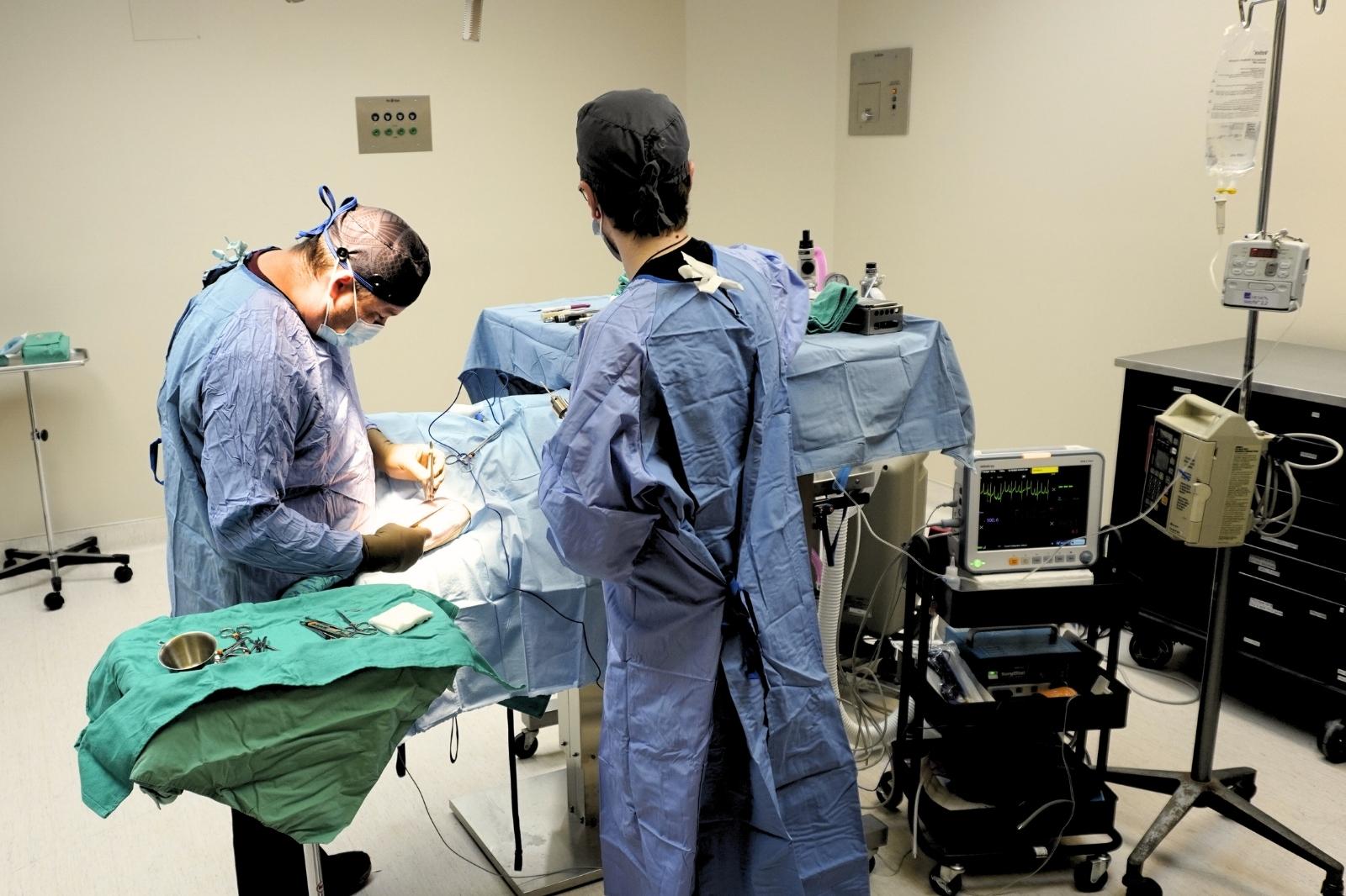 TLC Veterinary Surgery